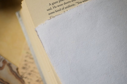 Close-up of a the reverse of The Knight and the Moth print against an open book page showing the textured surface of the print.